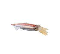 F Fityle Créatures de La Mer Figures Ensemble de Jouets de Bain Créatures de La Mer Figure Figurines D'action Jouets Sensoriels Animal Playset Modèle pour,