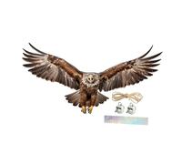 F Fityle Décoration à Suspendre en Forme d'aigle, Panneau Plat 2D, Cadeau créatif et Attrayant, décoration de à accrocher pour terrasse, Style C