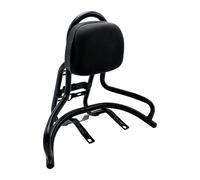 F Fityle Dossier Passager, Support de Porte-Bagages avec Coussin de Dossier, Barre Sissy en Métal pour, Porte-Bagages Arrière, Noir