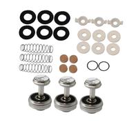 F Fityle Kit de réparation pour trompette : feutres de rechange, boutons de piston, capuchon de soupape, guides de piston, ressort, pièces du système de