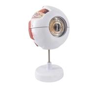 F Fityle Modèle d'anatomie oculaire avec base d'affichage robuste Structure oculaire Compact Portable Léger Précis Modèle de globe Outil pédagogique