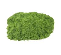 F Fityle Mousse artificielle pour terrasse, 100 g, lichen vert artificiel, mousse décorative pour gazon synthétique, modèles architecturaux, Vert