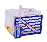 F Fityle Nid d'élevage pour s, Fournitures de Bricolage avec Panier à Aliments, Jouets en Acrylique, Habitat, Ferme pour s, Observation