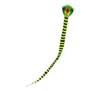 F Fityle serpent énorme facile à voler pour les débutants, de sport, volant pour parc, cadeau d'anniversaire, jeux en plein, 8m