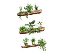 F Fityle Stickers muraux plantes vertes, amovibles, décoration intérieure, autocollants réalistes à poser et à décoller pour chambre ou bureau.