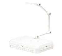 F Fityle Support pour figurines articulées - Accessoires pratiques, robustes et professionnels - Présentoir universel pour figurines et modèles de poupées, Blanc