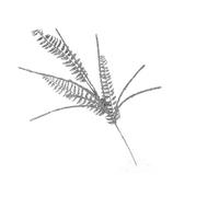 F.G.F. Import Export Ligne Briller Branche+Fleurs Argent 70 cm 07111, comme Photo, Taille Unique