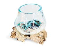 F&G Supplies Beau vase en verre de 11 cm de diamètre finement soufflé sur une racine de teck - Idéal pour les fleurs ou un terrarium d'intérieur - chacun unique