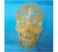 F Modèle De Tête De Crâne Humain Grandeur Nature - Modèle De Crâne Transparent - Réplique De Crâne Grandeur Nature Anatomie Humaine Modèle De Tête De Crâne - pour L’Explication De L’enseign