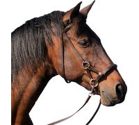 F.R.A. Bride sans mors pardoes avec guidage de rênes direct X-Full Cheval extra / Cheval de trait