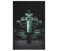 F1 Puzzles 1000 Pièces Adultes, Puzzle en Bois Jeux D'adresse pour Toute La Famille,Jeu De Team Building,Cadeau pour Les Amis Ou Les AmFourmis, (78×53cm)