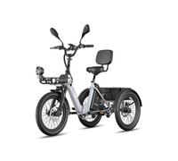 F20 Mate II Vélo électrique - Moteur 250W batterie 48V25Ah pneus 20 pouces freins à disque hydrauliques - Gris argenté