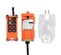 F21-E1B Émetteur et Récepteur Palan Electrique à Télécommande Industrielle Télécommande Sans Fil de Conduite À Distance 220V avec Accessoires
