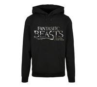 F4NT4STIC Sweat-shirt 'Fantastic Beasts And Harry Potter' gris / noir / blanc, Taille 4XL