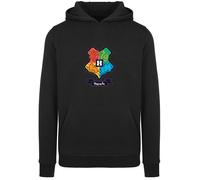 F4NT4STIC Sweat-shirt 'Harry Potter Hogwarts Junior Crest' bleu ciel / vert clair / rouge / noir, Taille XXL