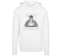 F4NT4STIC Sweat-shirt 'House Of The Dragon Throne' gris clair / gris foncé / noir / blanc, Taille XL