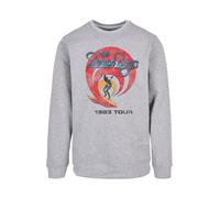 F4NT4STIC Sweat-shirt 'The Beach Boys Band Surfer '83 Vintage' gris / mélange de couleurs, Taille XS