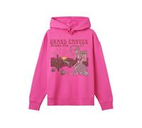 F4NT4STIC Sweat-shirt 'US National Parks Grand Canyon Sunrise' mélange de couleurs / rose, Taille XS