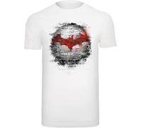 F4NT4STIC T-Shirt 'Batman Logo Wall' mélange de couleurs / blanc, Taille M