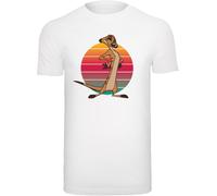 F4NT4STIC T-Shirt 'Disney König der Löwen Timon' noisette / orange / rose / blanc, Taille 4XL