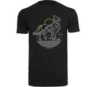 F4NT4STIC T-Shirt 'Harry Potter Buckbeak' jaune / noir / blanc, Taille L