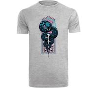 F4NT4STIC T-Shirt 'Harry Potter Neon Nagini' gris / mélange de couleurs, Taille XS