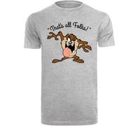 F4NT4STIC T-Shirt 'Looney Tunes Taz That's All Folks' gris chiné / mélange de couleurs, Taille M