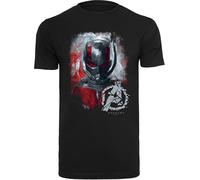 F4NT4STIC T-Shirt 'Marvel Avengers Endgame Ant-Man Brushed' gris / graphite / rouge sang / noir, Taille L