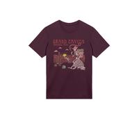 F4NT4STIC T-Shirt 'US National Parks Grand Canyon Sunrise' marron / jaune clair / rouge carmin / rouge pastel, Taille XS