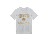 F4NT4STIC T-Shirt 'US National Parks Yellowstone Wyoming' or / gris, Taille L