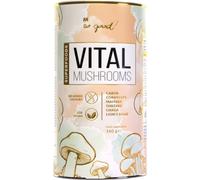 FA Nutrition | Vital Mushrooms | Mélange de crinière de lion, chaga, shiitake, maïtake et cordyceps Chocolat