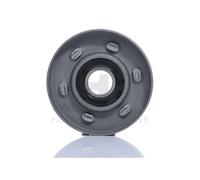 FA1 RW1105-920 Poulie, tendeur de courroie d'accessoire