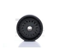 FA1 RW2205-918 Poulie, tendeur de courroie d'accessoire