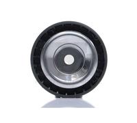 FA1 RZ3305-909 Galet enrouleur de courroie d'accessoire