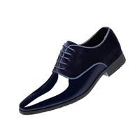 faafe Chaussures À Lacets pour Hommes, Chaussures en Cuir Brillant Chaussures Formelles Décontractées Basses Grande Taille Travail De Bureau De Mariage Confortables Et Respirantes, 50 EU,Blue