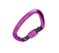 Fabater Boucle d'escalade Haute Résistance en Alliage D'aluminium pour Alpinisme, Escalade, Prévention des Accrocs, Porte à Ressort 3,9" pour Les Opérations de Sauvetage, Matériau 7075 (Purple)
