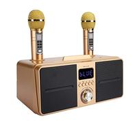 Fabater Système KTV Familial, Haut-Parleur Bluetooth sans Fil avec Deux Microphones, Carte en Direct de Haute qualité, Haut-parleurs de Basse de 4 Pouces, Parleur karaoké Portable 3000 MAh pour