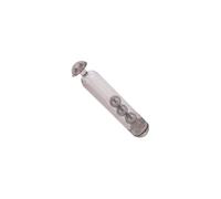 Fabater Tube d'insertion de Hochets d'appâts de Pêche, Son en Acier Inoxydable pour Attirer Les Mouches, Accessoires de Pêche au Gabarit de Ver 'appât Souple, Paquet de 50 Barres de Son en
