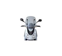 Fabbri PareBrise Piaggio Carnaby 07/09