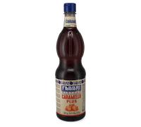 Fabbri | Sirop de caramel Plus - 1 L