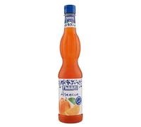 Fabbri Sirop d'Orange 560ml