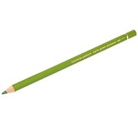 Faber-Castell Art & Graphic Polychromos Crayon de couleur (168), vert terre jaunâtre, pour art, artisanat, dessin, croquis, maison, école, université, coloriage