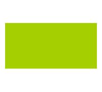 Faber Castell : Pitt Crayon Pastel Terre Vert Jaune