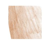 Faber Castell Pitt Pastel crayon - Burnt Sienna (283)