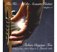 Fabien Degryse - Heart of The Acoustic Guitar 2