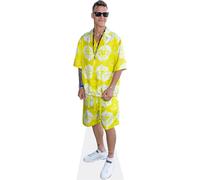 Fabio Quartararo (Yellow Outfit) Silhouette en Carton Taille Mini