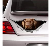 fabisup Autocollant 3D Chien Voiture Décoration Autocollant pour Fenêtre Pare-chocs Chien Crack Vinyle Chien Chocolat Labrador