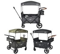 FableKids Chariot à roulettes Leo X4Lite avec Toit | Chariot de Transport Pliable | Peut Supporter jusqu'à 20 kg par siège | Harnais 5 Points | Roues 360° | Frein à Pied | Gris fossile