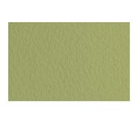 Fabriano 21297114 Tiziano Papier Pastel Format A4 50 feuilles 160 g/m² Sans acide et résistant aux vieillissements Surface rugueuse
