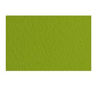 Fabriano 21297143 Tiziano Papier pastel Pistacchio Format A4 50 feuilles 160 g/m² Sans acide et résistant aux vieillissements, surface rugueuse